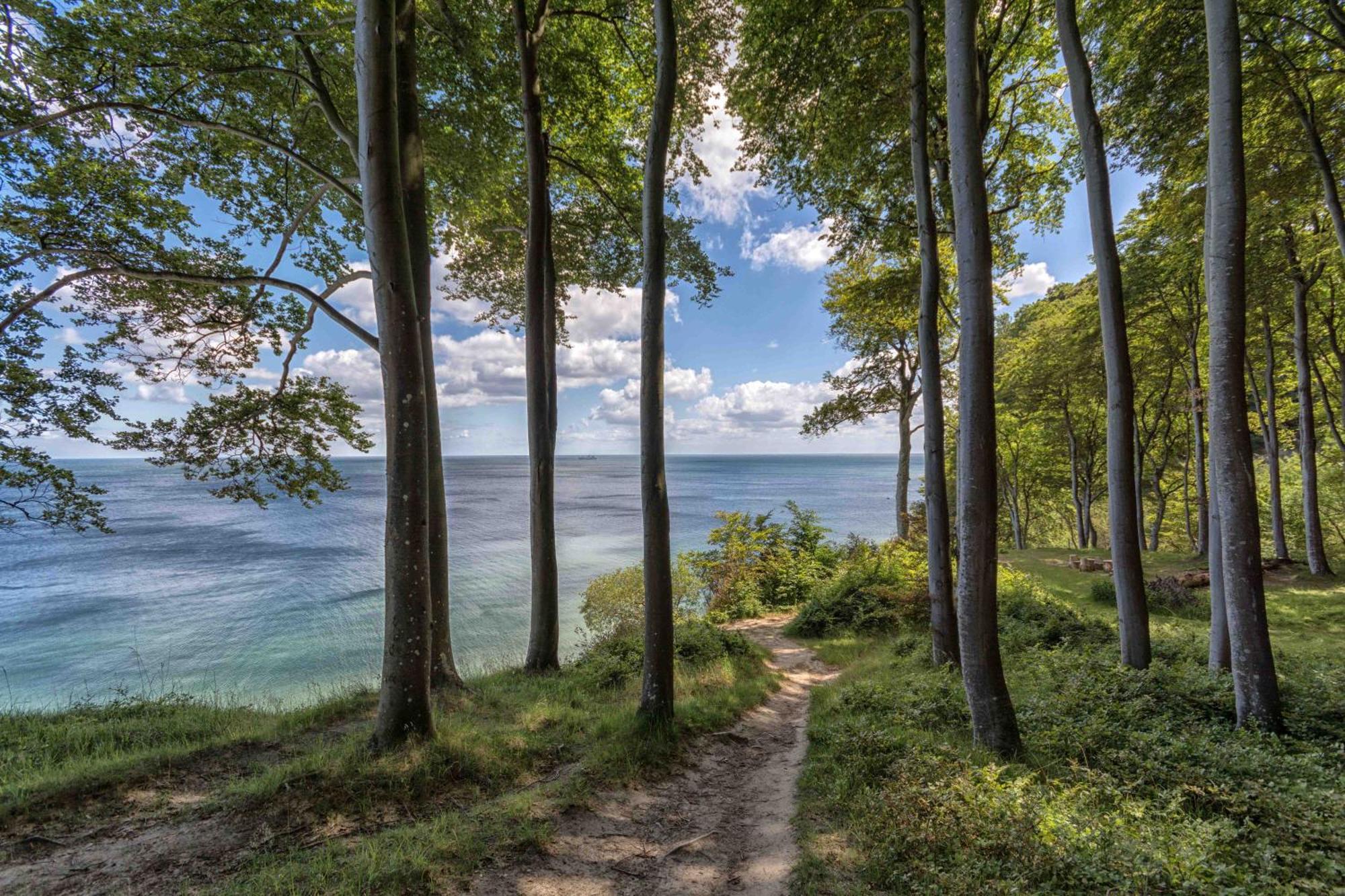 Villa Fernsicht - Wohnung Nr 1 - Mit Meerblick Sassnitz Buitenkant foto